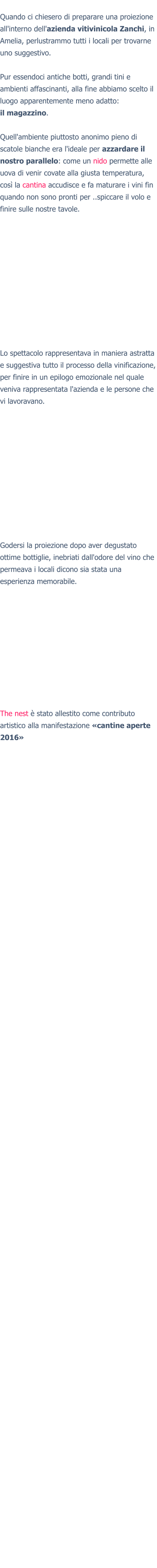 Quando ci chiesero di preparare una proiezione all'interno dell'azienda vitivinicola Zanchi, in Amelia, perlustrammo tutti i locali per trovarne uno suggestivo.  Pur essendoci antiche botti, grandi tini e ambienti affascinanti, alla fine abbiamo scelto il luogo apparentemente meno adatto:il magazzino.  Quell'ambiente piuttosto anonimo pieno di scatole bianche era l'ideale per azzardare il nostro parallelo: come un nido permette alle uova di venir covate alla giusta temperatura, così la cantina accudisce e fa maturare i vini fin quando non sono pronti per ..spiccare il volo e finire sulle nostre tavole.  Lo spettacolo rappresentava in maniera astratta e suggestiva tutto il processo della vinificazione, per finire in un epilogo emozionale nel quale veniva rappresentata l'azienda e le persone che vi lavoravano. Godersi la proiezione dopo aver degustato ottime bottiglie, inebriati dall'odore del vino che permeava i locali dicono sia stata una esperienza memorabile.The nest è stato allestito come contributo artistico alla manifestazione «cantine aperte 2016»