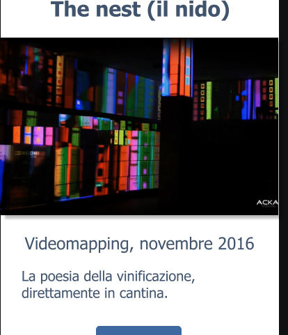 Videomapping, novembre 2016 The nest (il nido) La poesia della vinificazione, direttamente in cantina.
