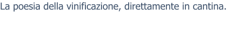 La poesia della vinificazione, direttamente in cantina.