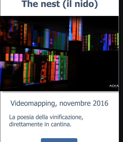 Videomapping, novembre 2016 The nest (il nido) La poesia della vinificazione, direttamente in cantina.